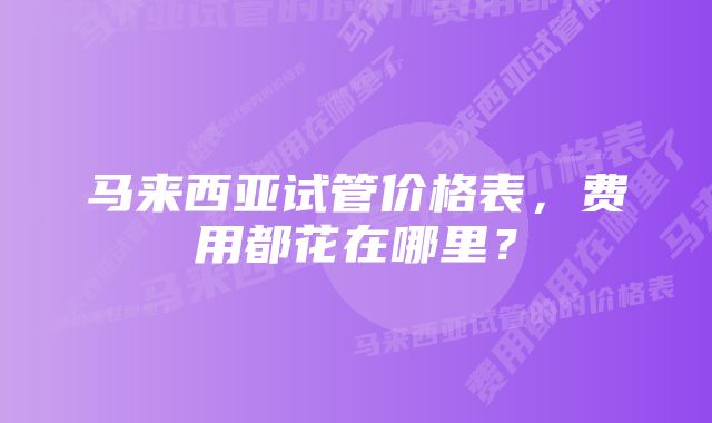 马来西亚试管价格表,费用都花在哪里?