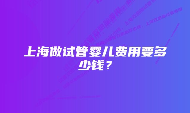 上海做试管婴儿费用要多少钱?