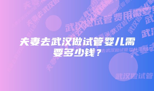 夫妻去武汉做试管婴儿需要多少钱?