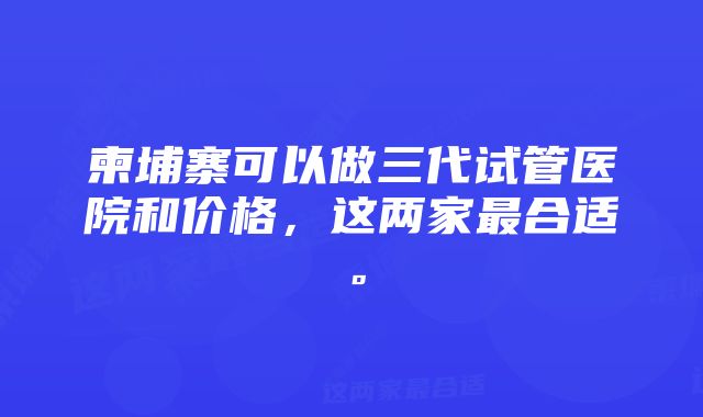 柬埔寨可以做三代试管医院和价格,这两家最合适。