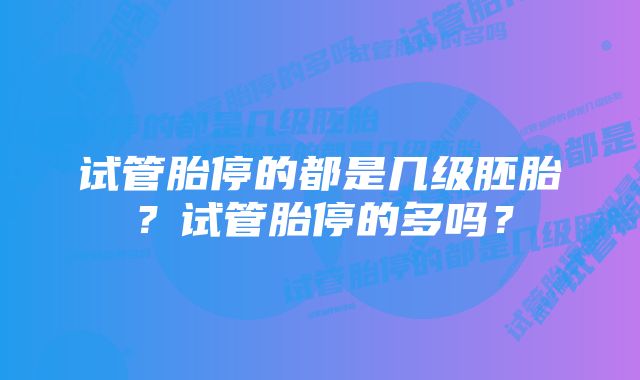 试管胎停的都是几级胚胎?试管胎停的多吗?