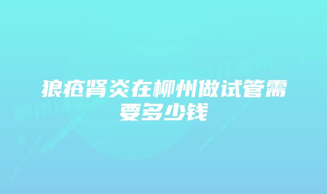 狼疮肾炎在柳州做试管需要多少钱