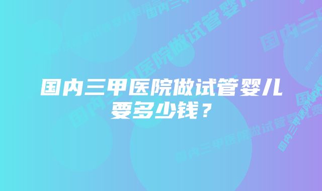 国内三甲医院做试管婴儿要多少钱？
