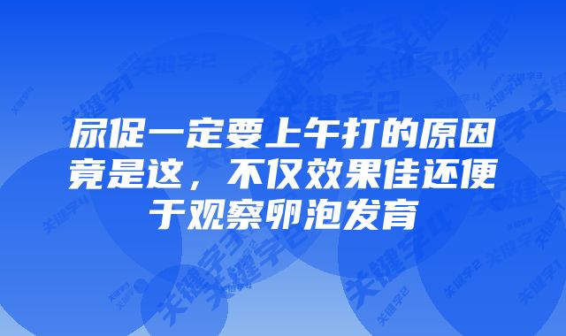 尿促一定要上午打的原因竟是这,不仅效果佳还便于观察卵泡发育