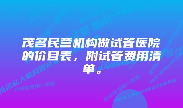 茂名民营机构做试管医院的价目表,附试管费用清单。