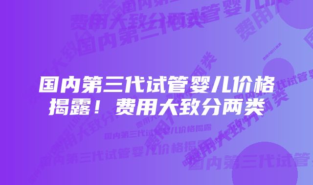 国内第三代试管婴儿价格揭露！费用大致分两类