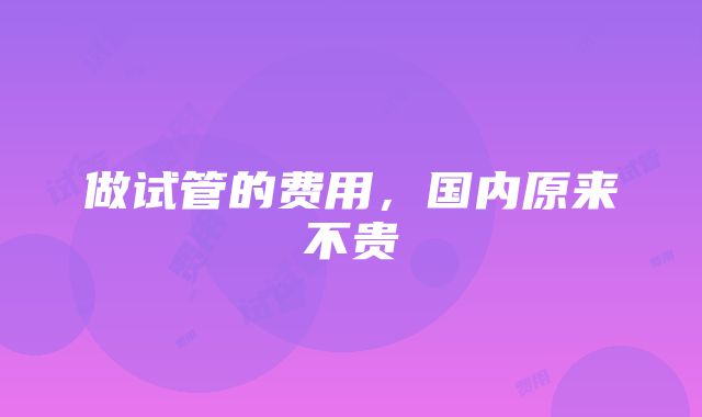 做试管的费用,国内原来不贵