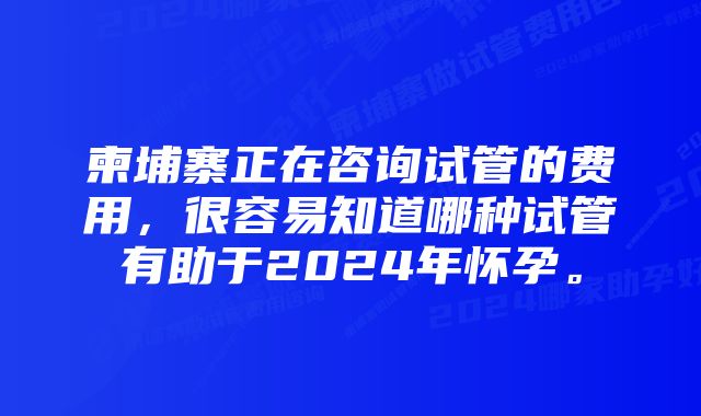 柬埔寨正在咨询试管的费用,很容易知道哪种试管有助于2024年怀孕。