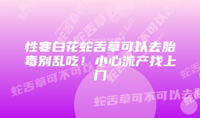 性寒白花蛇舌草可以去胎毒别乱吃!小心流产找上门
