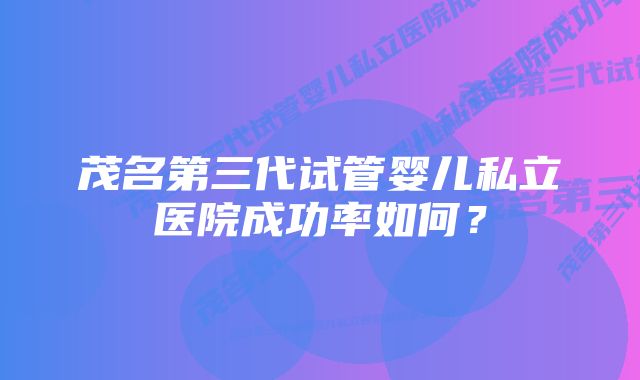 茂名第三代试管婴儿私立医院成功率如何?