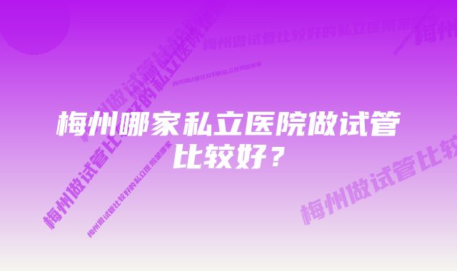 梅州哪家私立医院做试管比较好?