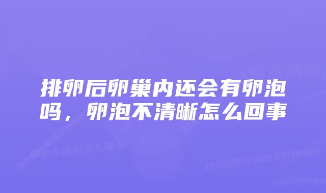 排卵后卵巢内还会有卵泡吗,卵泡不清晰怎么回事
