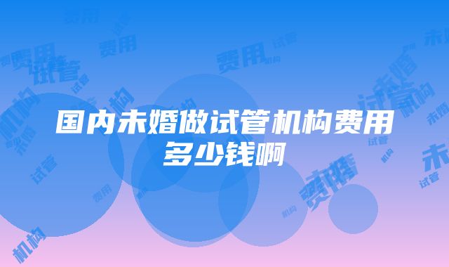 国内未婚做试管机构费用多少钱啊
