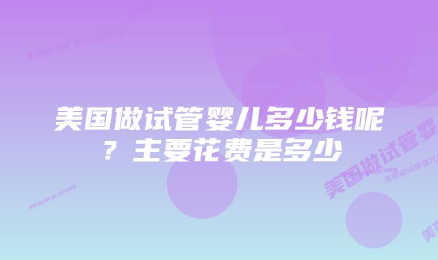 美国做试管婴儿多少钱呢?主要花费是多少