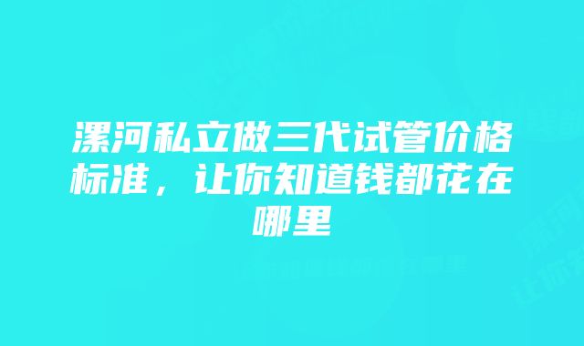 漯河私立做三代试管价格标准,让你知道钱都花在哪里