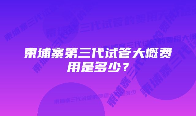 柬埔寨第三代试管大概费用是多少?