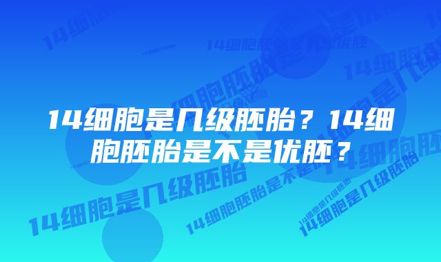 14细胞是几级胚胎?14细胞胚胎是不是优胚?