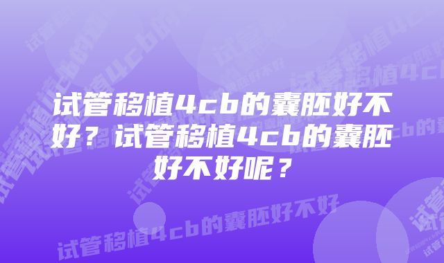 试管移植4cb的囊胚好不好?试管移植4cb的囊胚好不好呢?