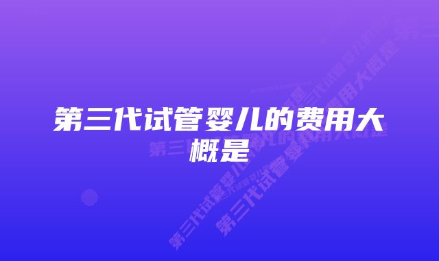第三代试管婴儿的费用大概是