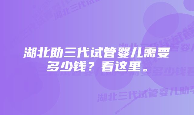 湖北助三代试管婴儿需要多少钱?看这里。