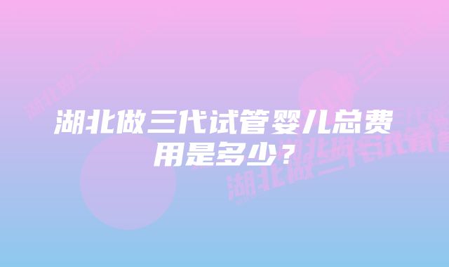 湖北做三代试管婴儿总费用是多少?