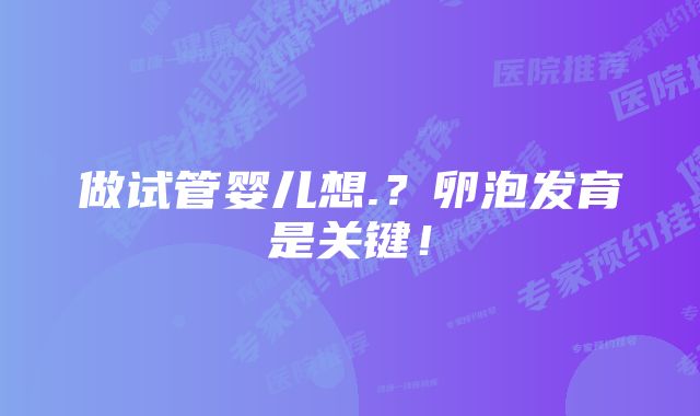 做试管婴儿想.?卵泡发育是关键!