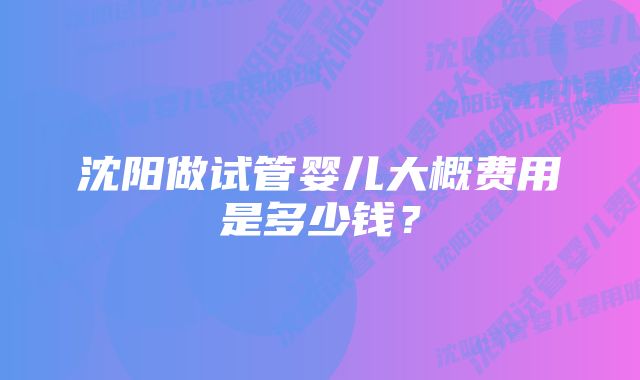 沈阳做试管婴儿大概费用是多少钱?