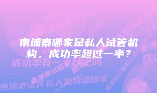柬埔寨哪家是私人试管机构,成功率超过一半?