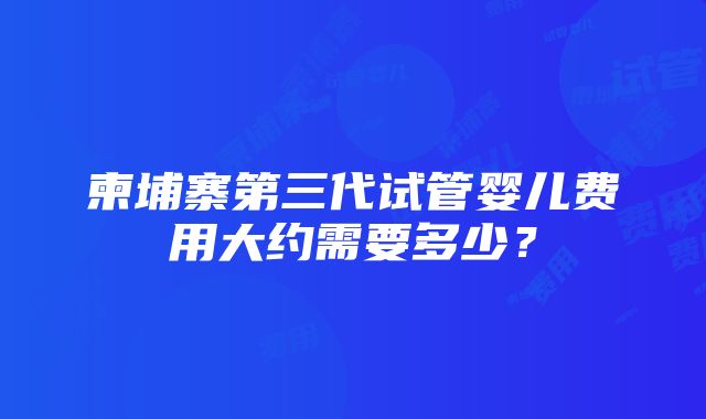 柬埔寨第三代试管婴儿费用大约需要多少?