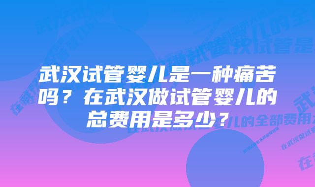 武汉试管婴儿是一种痛苦吗?在武汉做试管婴儿的总费用是多少?