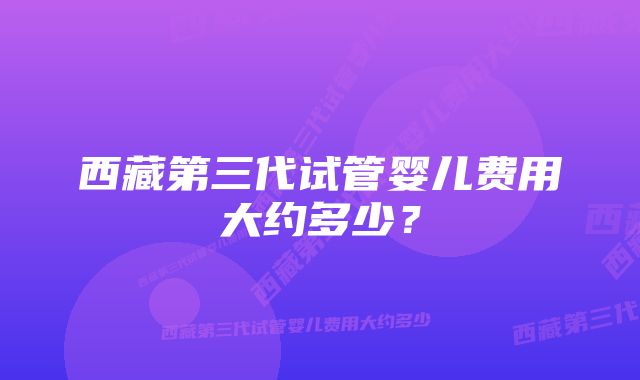 西藏第三代试管婴儿费用大约多少?