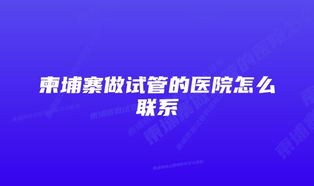 柬埔寨做试管的医院怎么联系