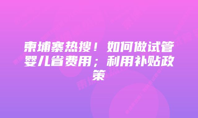 柬埔寨热搜!如何做试管婴儿省费用;利用补贴政策