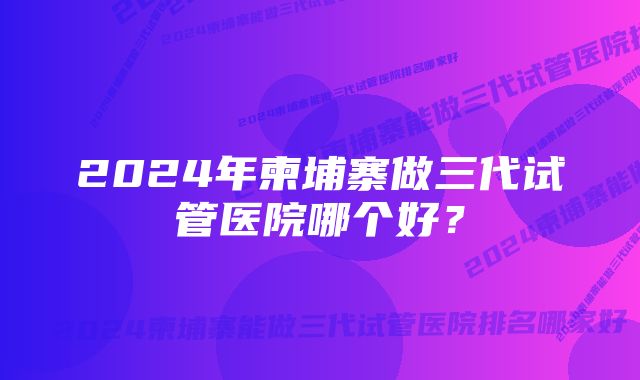 2024年柬埔寨做三代试管医院哪个好？