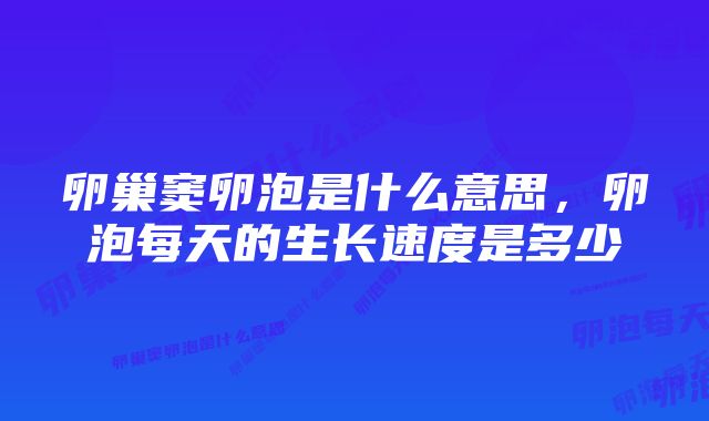 卵巢窦卵泡是什么意思,卵泡每天的生长速度是多少