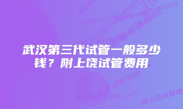 武汉第三代试管一般多少钱?附上饶试管费用