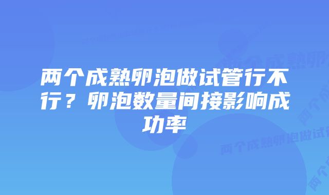 两个成熟卵泡做试管行不行?卵泡数量间接影响成功率