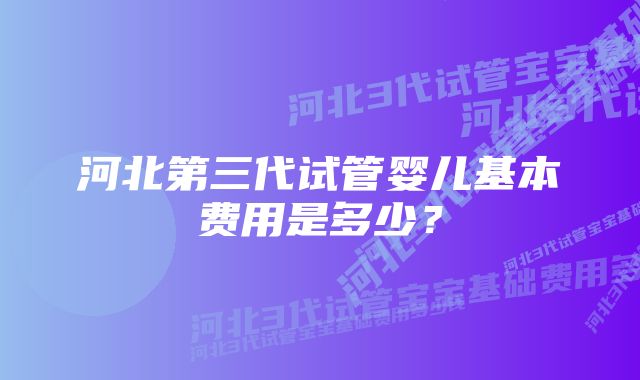 河北第三代试管婴儿基本费用是多少?