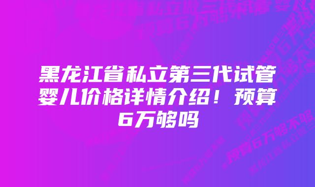 黑龙江省私立第三代试管婴儿价格详情介绍!预算6万够吗