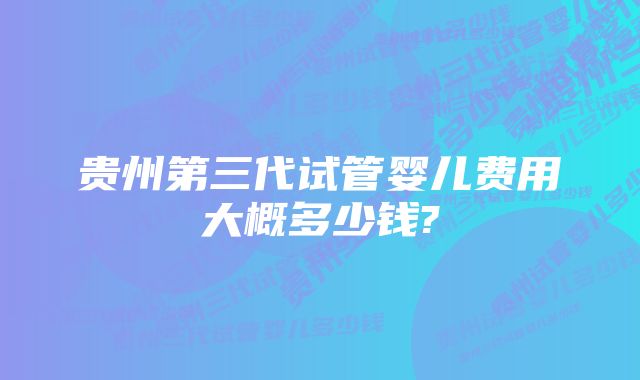 贵州第三代试管婴儿费用大概多少钱?