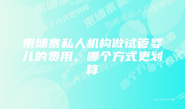 柬埔寨私人机构做试管婴儿的费用,哪个方式更划算