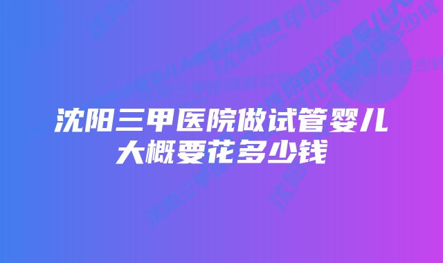 沈阳三甲医院做试管婴儿大概要花多少钱