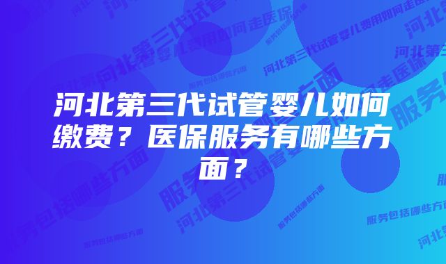 河北第三代试管婴儿如何缴费?医保服务有哪些方面?
