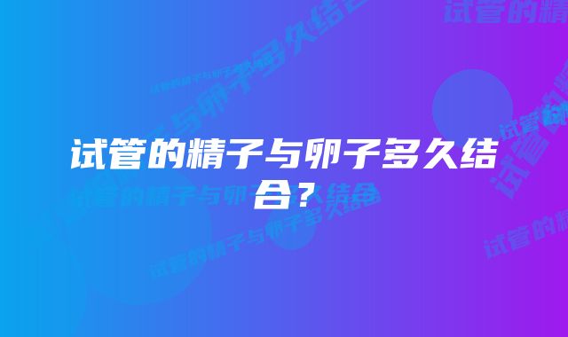 试管的精子与卵子多久结合?