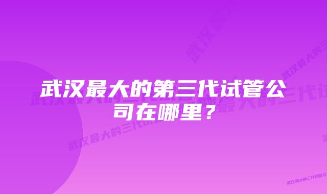 武汉最大的第三代试管公司在哪里?