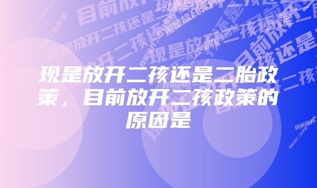 现是放开二孩还是二胎政策,目前放开二孩政策的原因是