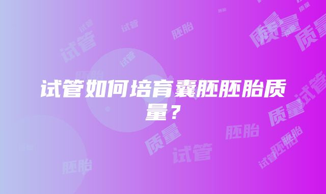 试管如何培育囊胚胚胎质量?