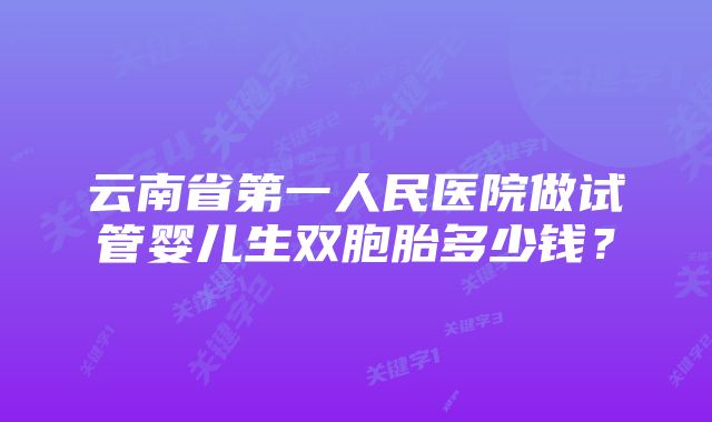 云南省第一人民医院做试管婴儿生双胞胎多少钱?