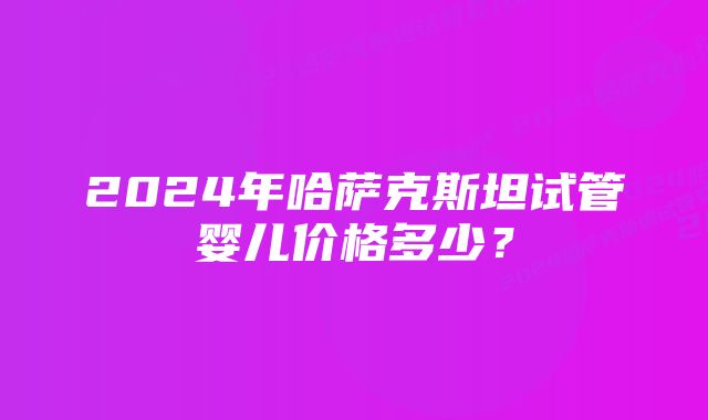 2024年哈萨克斯坦试管婴儿价格多少?