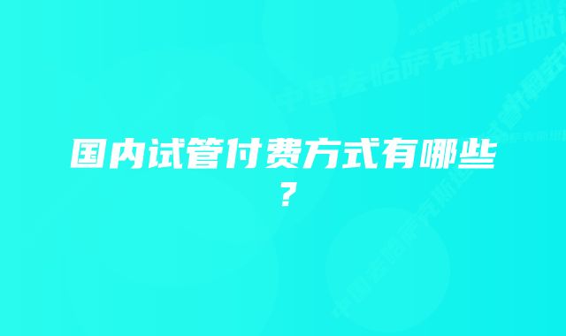 国内试管付费方式有哪些?